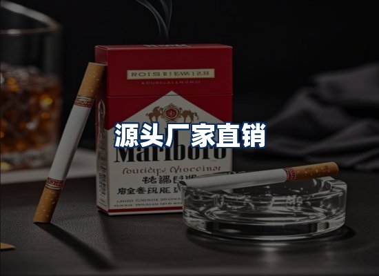 专业团队办公环境